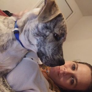 Meet your Posher, Lizzy